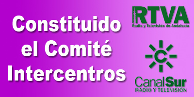 contituidoCI
